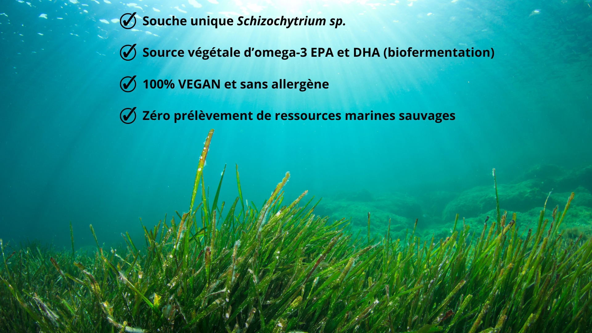 EPA/DHA Green® Une source unique d’EPA d’origine végétale et éco-responsable 